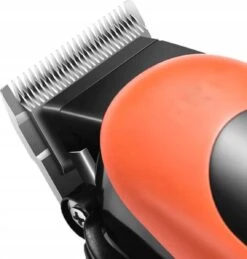 HTC Professionele Hondentondeuse - Haartrimmer Voor Honden En Katten - Krachtige Motor - Werkt Op 220V - Katten Tondeuses - Katten & Honden Trimset - Hondentrimmer - Dierentondeuse - Weinig Decibel- Met Opbergkoffer 11 HTC Professionele Hondentondeuse - Haartrimmer Voor Honden En Katten - Krachtige Motor - Werkt Op 220V - Katten Tondeuses - Katten & Honden Trimset - Hondentrimmer - Dierentondeuse - Weinig Decibel- Met Opbergkoffer -DierenPlezier 1143x1200 2