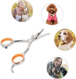 Merkloos Premium Gebogen Trimschaar Honden - Huisdier Trimmen - Hoofd, Poten Ogen & Oren - Kat & Hond Knippen - Veilige Schaar 16 Merkloos Premium Gebogen Trimschaar Honden - Huisdier Trimmen - Hoofd, Poten Ogen & Oren - Kat & Hond Knippen - Veilige Schaar -DierenPlezier 1159x1200