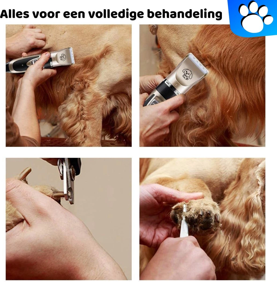 Merkloos Professionele Honden Tondeuse Set - Tondeuse Voor Huisdier Honden En Katten - Hondentrimmer - Hondentondeuse 4 Merkloos Professionele Honden Tondeuse Set - Tondeuse Voor Huisdier Honden En Katten - Hondentrimmer - Hondentondeuse - Afbeelding 2