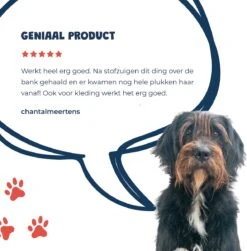 JC Pets Premium Pluizenborstel - Huisdierhaar Verwijderaar – Pluizenverwijderaar – Honden En Kattenhaar Verwijderaar - Ontpluizer - Pluizenroller -DierenPlezier 1183x1200