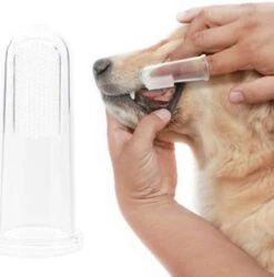 Professionele Hondentondeuse&hondentrimmer Voor Dikke Vacht 8 Professionele Hondentondeuse&hondentrimmer Voor Dikke Vacht -DierenPlezier 1184x1200 1