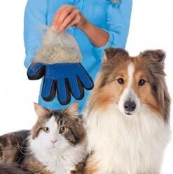 Vacht Verzorgingsborstel Voor Huisdieren - Blauw - LimitedDeals - Voor Honden Katten Konijnen Paarden - Tevens Massage Handschoen Voor Dieren! - Goed Voor De Verzorging Van De Vacht 17 Vacht Verzorgingsborstel Voor Huisdieren - Blauw - LimitedDeals - Voor Honden Katten Konijnen Paarden - Tevens Massage Handschoen Voor Dieren! - Goed Voor De Verzorging Van De Vacht -DierenPlezier 1189x1200 2