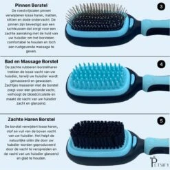 Petsify - Dierenborstel - Professionele 5 In 1 Hondenborstel - Voor Hond En Kat - Tweezijdig - Hondenkam - Kattenborstel - Kattenkam 11 Petsify - Dierenborstel - Professionele 5 In 1 Hondenborstel - Voor Hond En Kat - Tweezijdig - Hondenkam - Kattenborstel - Kattenkam -DierenPlezier 1198x1200 1