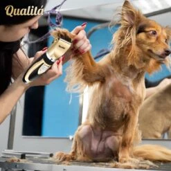 Merkloos Professionele Honden Tondeuse Set - Tondeuse Voor Huisdier Honden En Katten - Hondentrimmer - Hondentondeuse 15 Merkloos Professionele Honden Tondeuse Set - Tondeuse Voor Huisdier Honden En Katten - Hondentrimmer - Hondentondeuse -DierenPlezier 1198x1200 6