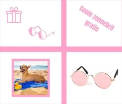 Pepets© – Hondenhanddoek – Honden Handdoek – Microvezel Handdoek – Handdoek Hond – Hondendeken – Droogdoek Hond – Dierendeken – Absorberend – 100*50CM - Beige - GRATIS Zonnebril 18 Pepets© – Hondenhanddoek – Honden Handdoek – Microvezel Handdoek – Handdoek Hond – Hondendeken – Droogdoek Hond – Dierendeken – Absorberend – 100*50CM - Beige - GRATIS Zonnebril -DierenPlezier 1200x1018