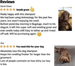 Bugalugs - Hondenshampoo - One In A Million - Alle Vachttypes - Fles Met Pompje - Vegan - 500 Ml 22 Bugalugs - Hondenshampoo - One In A Million - Alle Vachttypes - Fles Met Pompje - Vegan - 500 Ml -DierenPlezier 1200x1061