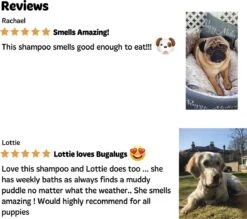 Bugalugs - Hondenshampoo - One In A Million - Alle Vachttypes - Fles Met Pompje - Vegan - 500 Ml 19 Bugalugs - Hondenshampoo - One In A Million - Alle Vachttypes - Fles Met Pompje - Vegan - 500 Ml -DierenPlezier 1200x1066