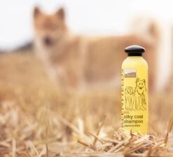 Greenfields Hondenshampoo Voor Langharige Vacht - Zorgt Voor Een Zijdezachte Glanzende Vacht - Inhoud 270 Ml - Hondenshampoo Langharige Vacht 15 Greenfields Hondenshampoo Voor Langharige Vacht - Zorgt Voor Een Zijdezachte Glanzende Vacht - Inhoud 270 Ml - Hondenshampoo Langharige Vacht -DierenPlezier 1200x1089 1