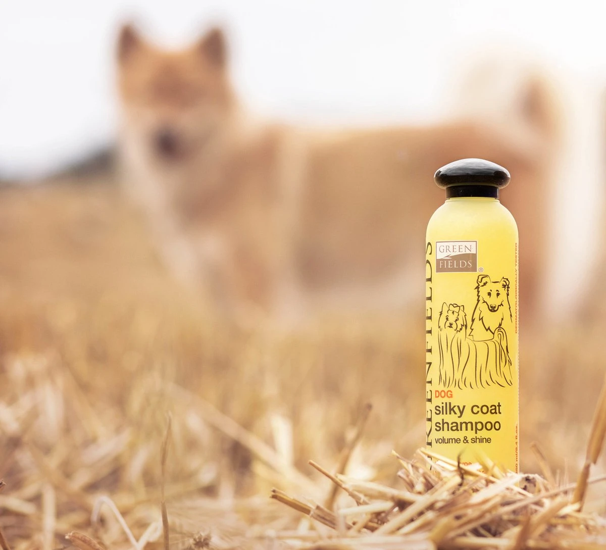 Greenfields Hondenshampoo Voor Langharige Vacht - Zorgt Voor Een Zijdezachte Glanzende Vacht - Inhoud 270 Ml - Hondenshampoo Langharige Vacht 5 Greenfields Hondenshampoo Voor Langharige Vacht - Zorgt Voor Een Zijdezachte Glanzende Vacht - Inhoud 270 Ml - Hondenshampoo Langharige Vacht - Afbeelding 3