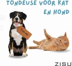 Hondentondeuse - Hondentrimmer - Dieren Tondeuse - Draadloos - 4 Opzetkammen - INCLUSIEF SNACKJE - Zwart 21 Hondentondeuse - Hondentrimmer - Dieren Tondeuse - Draadloos - 4 Opzetkammen - INCLUSIEF SNACKJE - Zwart -DierenPlezier 1200x1098 1