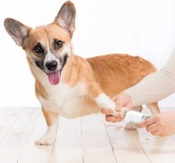 Auronic Elektrische Nagelvijl - Voor Dieren - Oplaadbaar - Draadloos - Diamant Vijlkop - Hond/Katten - Wit 18 Auronic Elektrische Nagelvijl - Voor Dieren - Oplaadbaar - Draadloos - Diamant Vijlkop - Hond/Katten - Wit -DierenPlezier 1200x1115 1