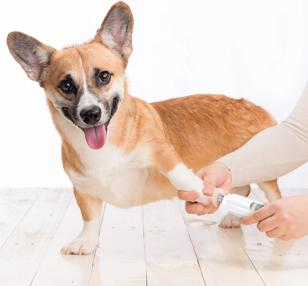 Auronic Elektrische Nagelvijl - Voor Dieren - Oplaadbaar - Draadloos - Diamant Vijlkop - Hond/Katten - Wit 9 Auronic Elektrische Nagelvijl - Voor Dieren - Oplaadbaar - Draadloos - Diamant Vijlkop - Hond/Katten - Wit - Afbeelding 7