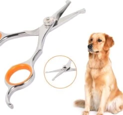 Merkloos Premium Gebogen Trimschaar Honden - Huisdier Trimmen - Hoofd, Poten Ogen & Oren - Kat & Hond Knippen - Veilige Schaar 14 Merkloos Premium Gebogen Trimschaar Honden - Huisdier Trimmen - Hoofd, Poten Ogen & Oren - Kat & Hond Knippen - Veilige Schaar -DierenPlezier 1200x1120 1