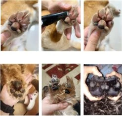 Merkloos Premium Tondeuse Voor Honden Of Katten - Dierentondeuse Oplaadbaar - Ook Bij Tenen, Ogen & Oren - Draadloze Haartrimmer 16 Merkloos Premium Tondeuse Voor Honden Of Katten - Dierentondeuse Oplaadbaar - Ook Bij Tenen, Ogen & Oren - Draadloze Haartrimmer -DierenPlezier 1200x1139