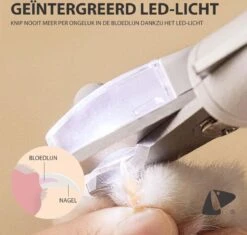 PETKIT® Professionele Dieren Nagelknipper - Nagelknipper Hond - Met LED - Met Vijl - Nageltang 16 PETKIT® Professionele Dieren Nagelknipper - Nagelknipper Hond - Met LED - Met Vijl - Nageltang -DierenPlezier 1200x1143 9
