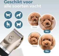 BYER Professionele Dieren Tondeuse Set - Voor Huisdieren Katten & Honden - Draadloos - Oplaadbare Pet Trimmer - Dog Tondeuze Clipper - 5 Standen & Vier Opzetkammen - Low Noise 14 BYER Professionele Dieren Tondeuse Set - Voor Huisdieren Katten & Honden - Draadloos - Oplaadbare Pet Trimmer - Dog Tondeuze Clipper - 5 Standen & Vier Opzetkammen - Low Noise -DierenPlezier 1200x1144 2