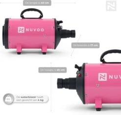 DierenPlezier -DierenPlezier 1200x1147 3