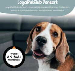 Loyalpetclub® Professionele 2-in-1 Hondentondeuse Voor Dikke Vacht – Draadloze Honden Tondeuse & Hondentrimmer – Stille Tondeuse Katten & Honden Trimset - Inclusief Opbergtasje 19 Loyalpetclub® Professionele 2-in-1 Hondentondeuse Voor Dikke Vacht – Draadloze Honden Tondeuse & Hondentrimmer – Stille Tondeuse Katten & Honden Trimset - Inclusief Opbergtasje -DierenPlezier 1200x1148 3