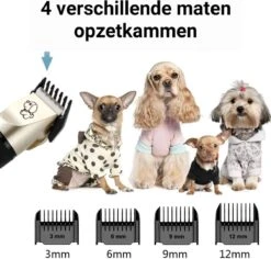 Merkloos Professionele Dierentondeuse - Scheerapparaat Voor Honden En Katten - Trimmer - 4 Opzetstukken - Oplaadbaar - Draadloos - Stil - Verschillende Haar En Vachtlengtes - Haartrimmer - Hondentrimmer - Honden Trimmer - Honden Knippen - Haren Knippen 17 Merkloos Professionele Dierentondeuse - Scheerapparaat Voor Honden En Katten - Trimmer - 4 Opzetstukken - Oplaadbaar - Draadloos - Stil - Verschillende Haar En Vachtlengtes - Haartrimmer - Hondentrimmer - Honden Trimmer - Honden Knippen - Haren Knippen -DierenPlezier 1200x1148 4