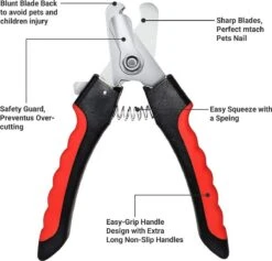 Merkloos Professionele Nagelschaar - Dieren Nagelschaar - Rood & Zwart - Honden Nagelknipper - Hondennagels - Honden Knip Schaar - Honden Knipsch 11 Merkloos Professionele Nagelschaar - Dieren Nagelschaar - Rood & Zwart - Honden Nagelknipper - Hondennagels - Honden Knip Schaar - Honden Knipsch -DierenPlezier 1200x1153 9