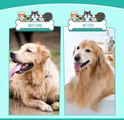 Nobleza 3 Delige Hondenborstel Set – Hondenkam - Kattenkam - Borstels – Dierverzorging - Dierenverzorging - Blauw 12 Nobleza 3 Delige Hondenborstel Set – Hondenkam - Kattenkam - Borstels – Dierverzorging - Dierenverzorging - Blauw -DierenPlezier 1200x1157 1