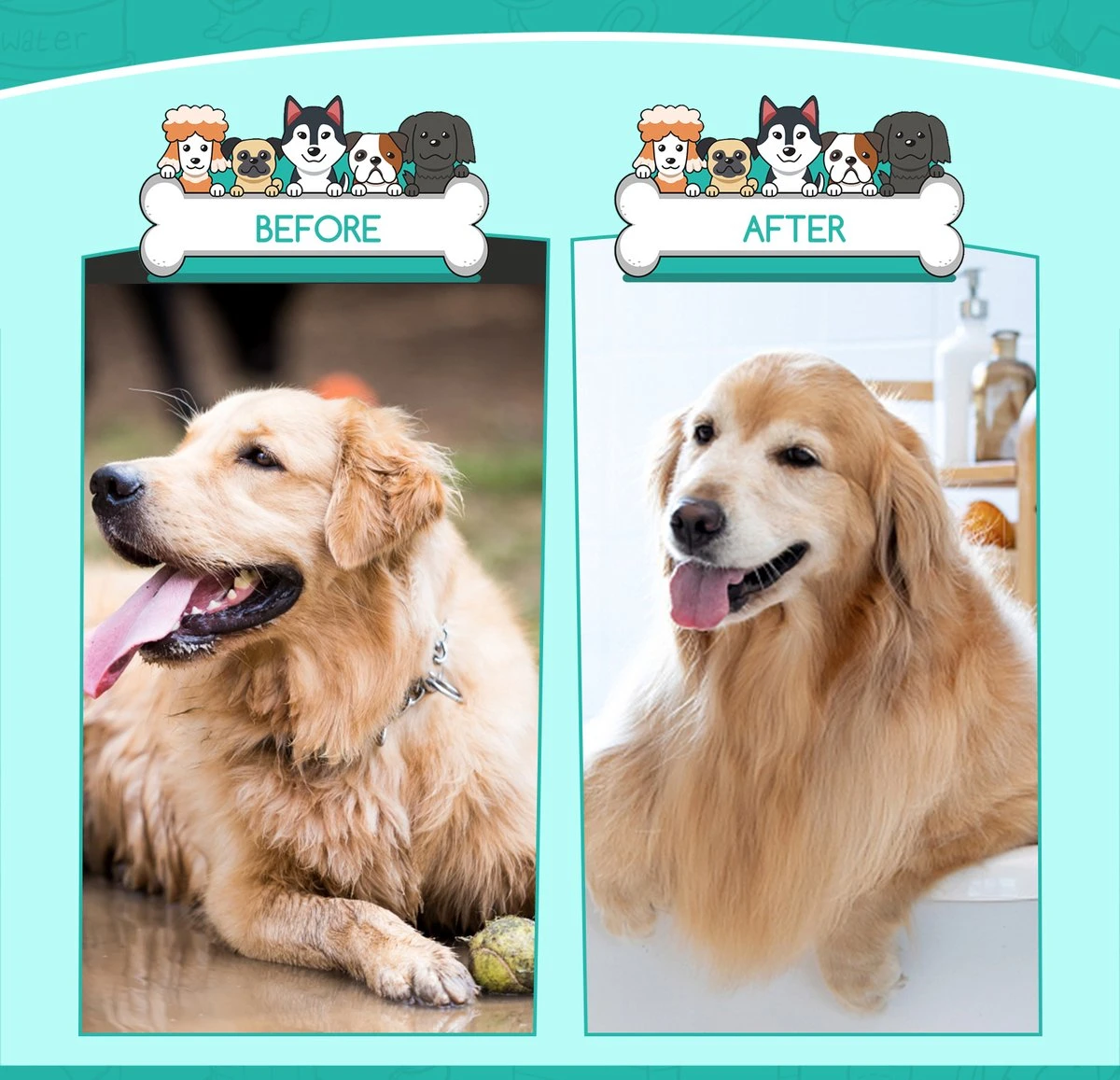 Nobleza 3 Delige Hondenborstel Set – Hondenkam - Kattenkam - Borstels – Dierverzorging - Dierenverzorging - Blauw 7 Nobleza 3 Delige Hondenborstel Set – Hondenkam - Kattenkam - Borstels – Dierverzorging - Dierenverzorging - Blauw - Afbeelding 5