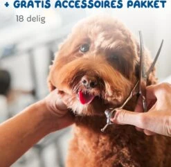 Pawwy Dieren Tondeuse Set Draadloos Voor Honden En Katten – Voor Dikke Vacht - Hondentondeuse – Hondentrimmer - Scheerapparaat - Goud 22 Pawwy Dieren Tondeuse Set Draadloos Voor Honden En Katten – Voor Dikke Vacht - Hondentondeuse – Hondentrimmer - Scheerapparaat - Goud -DierenPlezier 1200x1170 2