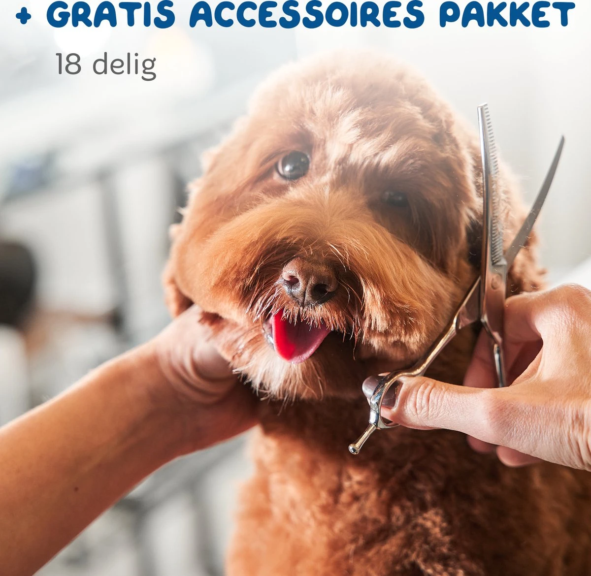 Pawwy Dieren Tondeuse Set Draadloos Voor Honden En Katten – Voor Dikke Vacht - Hondentondeuse – Hondentrimmer - Scheerapparaat - Goud 11 Pawwy Dieren Tondeuse Set Draadloos Voor Honden En Katten – Voor Dikke Vacht - Hondentondeuse – Hondentrimmer - Scheerapparaat - Goud - Afbeelding 9