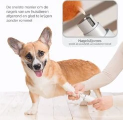 Revo Goods Professionele 4 In 1 Hondentondeuse Set -Ideaal Voor Honden En Andere Huisdieren - Slijper Inbegrepen -Draadloos - Ultra Stil 10 Revo Goods Professionele 4 In 1 Hondentondeuse Set -Ideaal Voor Honden En Andere Huisdieren - Slijper Inbegrepen -Draadloos - Ultra Stil -DierenPlezier 1200x1170 3
