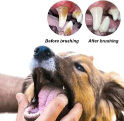 Doodadeals® 4 Stuks Siliconen Honden Tandenborstel - Tanden Borstel Hond - Silicone Dog Tootbrush - Multikleur 10 Doodadeals® 4 Stuks Siliconen Honden Tandenborstel - Tanden Borstel Hond - Silicone Dog Tootbrush - Multikleur -DierenPlezier 1200x1175 4