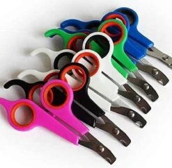 Doodadeals® | Nagelschaar Kat | Nagelschaar Hond | Nagelschaar Konijn | Nagelschaar Cavia | Multi Color | 1 Stuk -DierenPlezier 1200x1178 3