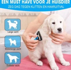 Professionele Ondervacht Kam Voor Hond En Kat S – Hondenborstel – Kattenborstel - Hondenkam –Anti Klit - Haarverwijderaar Voor Huisdieren - Pijnloos - Huisdiervriendelijk – Klittenkam - Voorkomt Haaruitval - Kleine Variant- Black Friday - Sinterklaas 10 Professionele Ondervacht Kam Voor Hond En Kat S – Hondenborstel – Kattenborstel - Hondenkam –Anti Klit - Haarverwijderaar Voor Huisdieren - Pijnloos - Huisdiervriendelijk – Klittenkam - Voorkomt Haaruitval - Kleine Variant- Black Friday - Sinterklaas -DierenPlezier 1200x1178 5