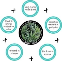 Greenfields Vacht Verzorging Set Voor Honden Shampoo, Conditioner & Droogshampoo 13 Greenfields Vacht Verzorging Set Voor Honden Shampoo, Conditioner & Droogshampoo -DierenPlezier 1200x1182 2