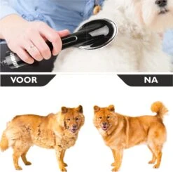 RoiPets® Hondenfohn 2 In 1 – 1000W - Honden Droger – Met Borstel - Waterblazer - Haar Verzorging - Honden Borstel Zwart - Honden/Katten/Dieren 8 RoiPets® Hondenfohn 2 In 1 – 1000W - Honden Droger – Met Borstel - Waterblazer - Haar Verzorging - Honden Borstel Zwart - Honden/Katten/Dieren -DierenPlezier 1200x1188 5