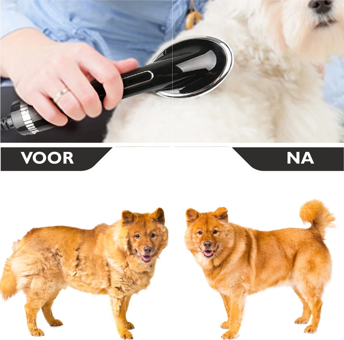 RoiPets® Hondenfohn 2 In 1 – 1000W - Honden Droger – Met Borstel - Waterblazer - Haar Verzorging - Honden Borstel Zwart - Honden/Katten/Dieren 4 RoiPets® Hondenfohn 2 In 1 – 1000W - Honden Droger – Met Borstel - Waterblazer - Haar Verzorging - Honden Borstel Zwart - Honden/Katten/Dieren - Afbeelding 2