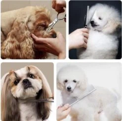 VoordeelShop 7-Delige Huisdier Knipset Met Etui - Trimmen Hond - Honden Schaar - Effileerschaar Hond - Huisdier Trimmer - Huisdier Knippen - Knipschaar Haar - Haar Schaar - Kapper - Kapperset - Scharenset 31 VoordeelShop 7-Delige Huisdier Knipset Met Etui - Trimmen Hond - Honden Schaar - Effileerschaar Hond - Huisdier Trimmer - Huisdier Knippen - Knipschaar Haar - Haar Schaar - Kapper - Kapperset - Scharenset -DierenPlezier 1200x1190 3