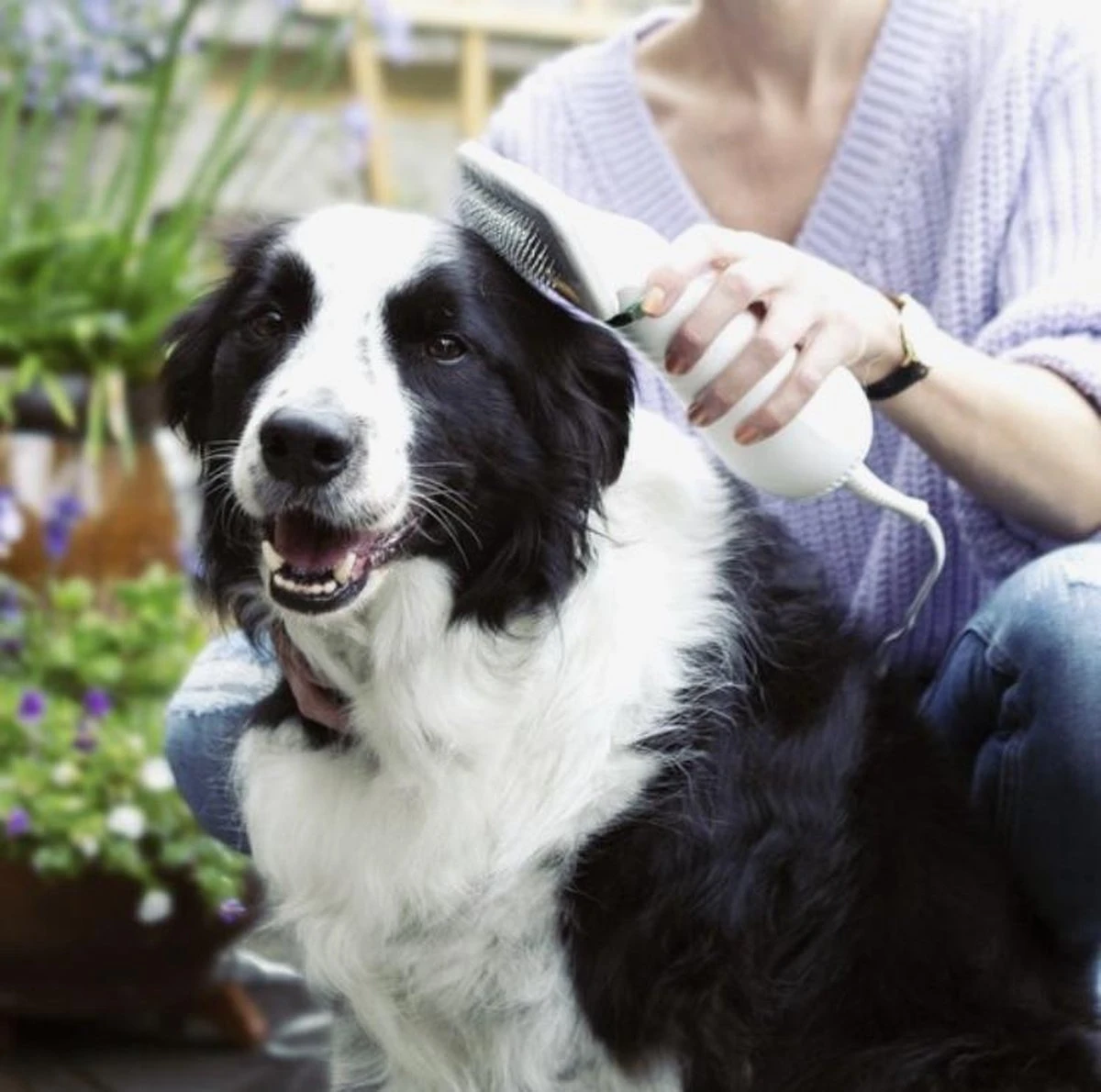 Merkloos HondenFöhn En Borstel - RVS Borstel - Huisdieren - 2 In 1 Hondenföhn 7 Merkloos HondenFöhn En Borstel - RVS Borstel - Huisdieren - 2 In 1 Hondenföhn - Afbeelding 5