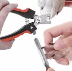 Merkloos Professionele Nagelschaar - Dieren Nagelschaar - Rood & Zwart - Honden Nagelknipper - Hondennagels - Honden Knip Schaar - Honden Knipsch 12 Merkloos Professionele Nagelschaar - Dieren Nagelschaar - Rood & Zwart - Honden Nagelknipper - Hondennagels - Honden Knip Schaar - Honden Knipsch -DierenPlezier 1200x1195 11