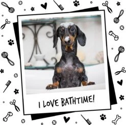 Bugalugs - Hondenshampoo - One In A Million - Alle Vachttypes - Fles Met Pompje - Vegan - 500 Ml 21 Bugalugs - Hondenshampoo - One In A Million - Alle Vachttypes - Fles Met Pompje - Vegan - 500 Ml -DierenPlezier 1200x1196 4