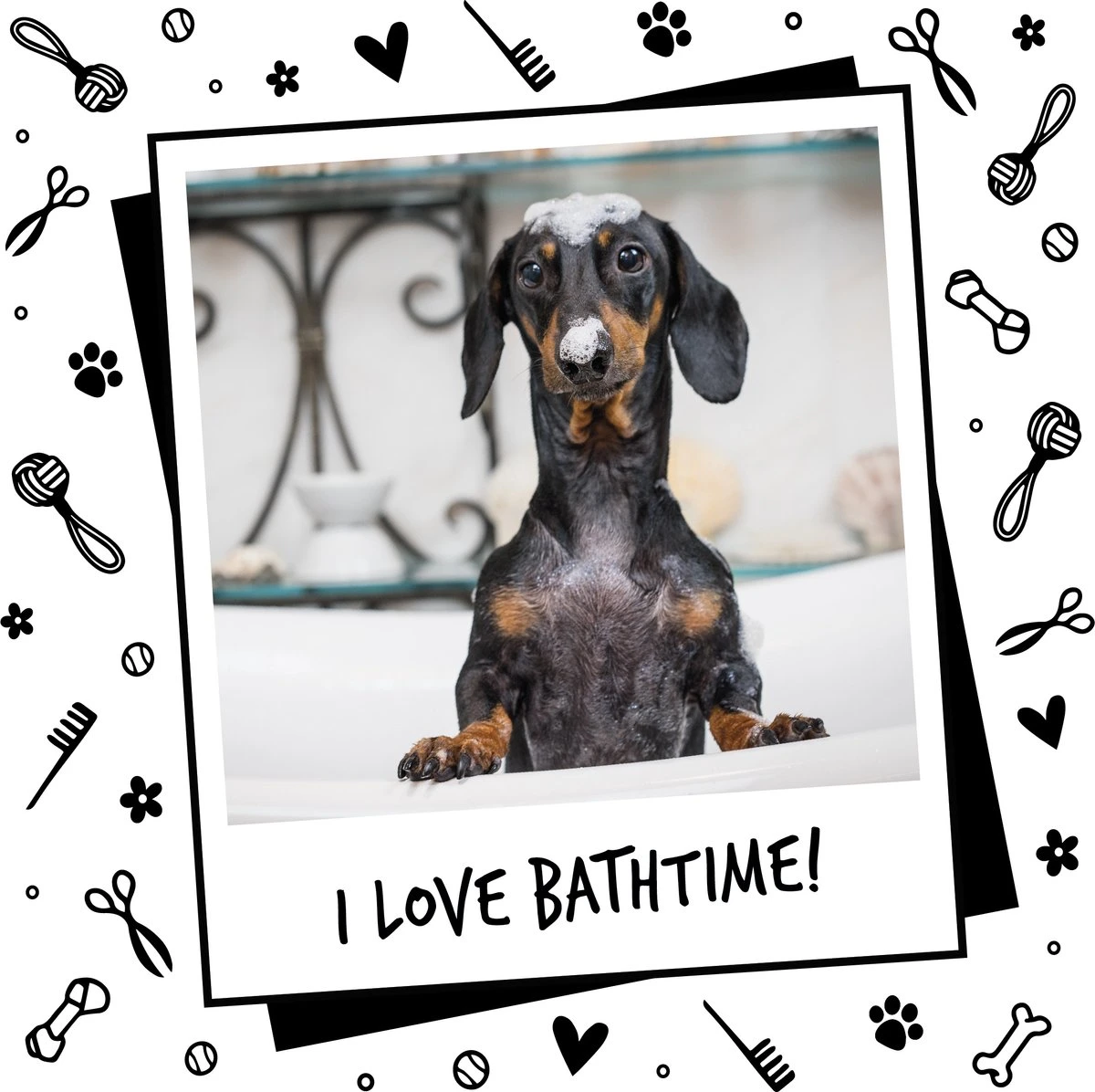 Bugalugs - Hondenshampoo - One In A Million - Alle Vachttypes - Fles Met Pompje - Vegan - 500 Ml 10 Bugalugs - Hondenshampoo - One In A Million - Alle Vachttypes - Fles Met Pompje - Vegan - 500 Ml - Afbeelding 8