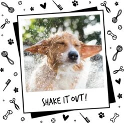 Bugalugs - Hondenshampoo - One In A Million - Alle Vachttypes - Fles Met Pompje - Vegan - 500 Ml 18 Bugalugs - Hondenshampoo - One In A Million - Alle Vachttypes - Fles Met Pompje - Vegan - 500 Ml -DierenPlezier 1200x1197 5