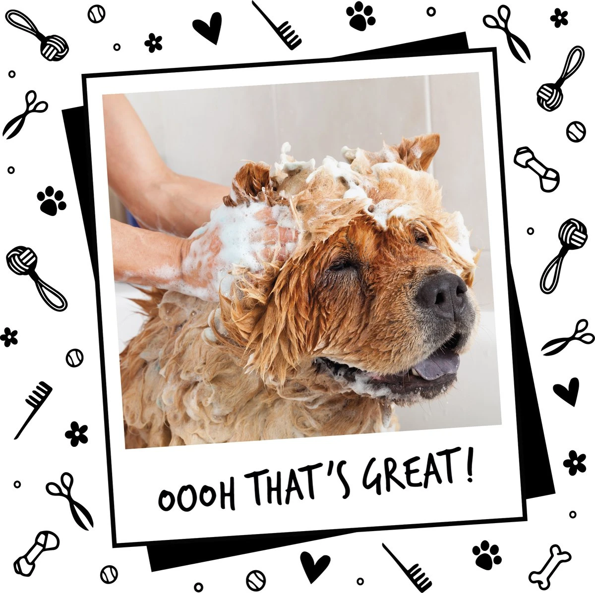 Bugalugs - Hondenshampoo - One In A Million - Alle Vachttypes - Fles Met Pompje - Vegan - 500 Ml 9 Bugalugs - Hondenshampoo - One In A Million - Alle Vachttypes - Fles Met Pompje - Vegan - 500 Ml - Afbeelding 7