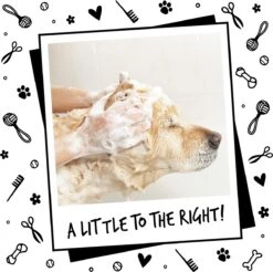 Bugalugs - Hondenshampoo - One In A Million - Alle Vachttypes - Fles Met Pompje - Vegan - 500 Ml 23 Bugalugs - Hondenshampoo - One In A Million - Alle Vachttypes - Fles Met Pompje - Vegan - 500 Ml -DierenPlezier 1200x1197 7