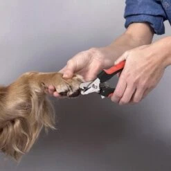 Merkloos Professionele Nagelschaar - Dieren Nagelschaar - Rood & Zwart - Honden Nagelknipper - Hondennagels - Honden Knip Schaar - Honden Knipsch 13 Merkloos Professionele Nagelschaar - Dieren Nagelschaar - Rood & Zwart - Honden Nagelknipper - Hondennagels - Honden Knip Schaar - Honden Knipsch -DierenPlezier 1200x1198 12