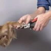 Merkloos Nagelknipper Hond - Huisdier - Dier - Kat - Nageltang - Nagelschaar - Nagels Knippen Hond - Dierennagel Knipper 2 Merkloos Nagelknipper Hond - Huisdier - Dier - Kat - Nageltang - Nagelschaar - Nagels Knippen Hond - Dierennagel Knipper -DierenPlezier 1200x1198 8