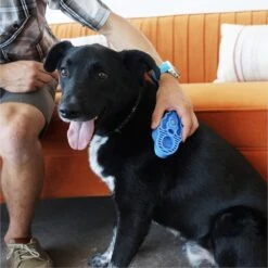 Kong Zoom Groom Hond 13 Kong Zoom Groom Hond -DierenPlezier 1200x1199