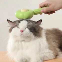 QT Petshop - Haarverwijderaar Voor Huisdieren - Groene Kattenborstel - Furminator Hondenborstel - Anti-Klit - Diervriendelijk - Dierenverzorging 13 QT Petshop - Haarverwijderaar Voor Huisdieren - Groene Kattenborstel - Furminator Hondenborstel - Anti-Klit - Diervriendelijk - Dierenverzorging -DierenPlezier 1200x1200 150