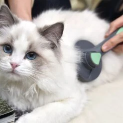 Pakeway Kattenborstel – Hondenborstel – Haarverwijderaar Voor Huisdieren – Kattenkam - Kortharig - Langharig - Inclusief Ebook! 12 Pakeway Kattenborstel – Hondenborstel – Haarverwijderaar Voor Huisdieren – Kattenkam - Kortharig - Langharig - Inclusief Ebook! -DierenPlezier 1200x1200 171