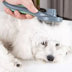 Pakeway Kattenborstel – Hondenborstel – Haarverwijderaar Voor Huisdieren – Kattenkam - Kortharig - Langharig - Inclusief Ebook! 14 Pakeway Kattenborstel – Hondenborstel – Haarverwijderaar Voor Huisdieren – Kattenkam - Kortharig - Langharig - Inclusief Ebook! -DierenPlezier 1200x1200 172