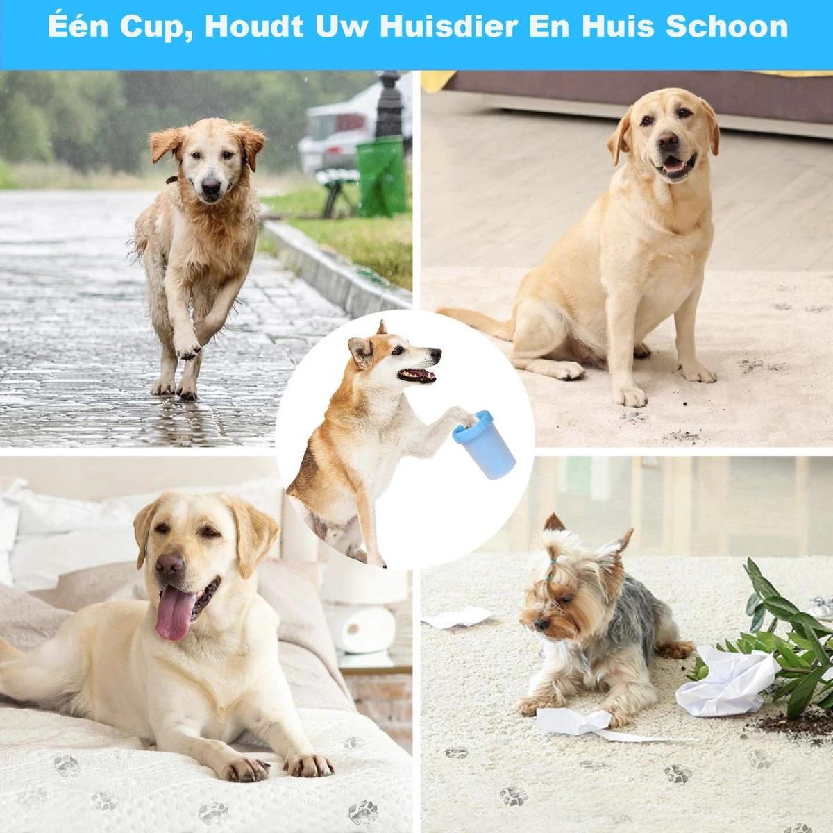 Merkloos Hondenpoot Reiniger - Hondenborstel - Borstel Hond / Kat - Hondenpoten Reiniger - Huisdier Poot Wassen - Borstel - Hondenverzorging - Verzorging Hond - Honden Wassen - Schoonmaak Borstel - Kattenborstel 4 Merkloos Hondenpoot Reiniger - Hondenborstel - Borstel Hond / Kat - Hondenpoten Reiniger - Huisdier Poot Wassen - Borstel - Hondenverzorging - Verzorging Hond - Honden Wassen - Schoonmaak Borstel - Kattenborstel - Afbeelding 3